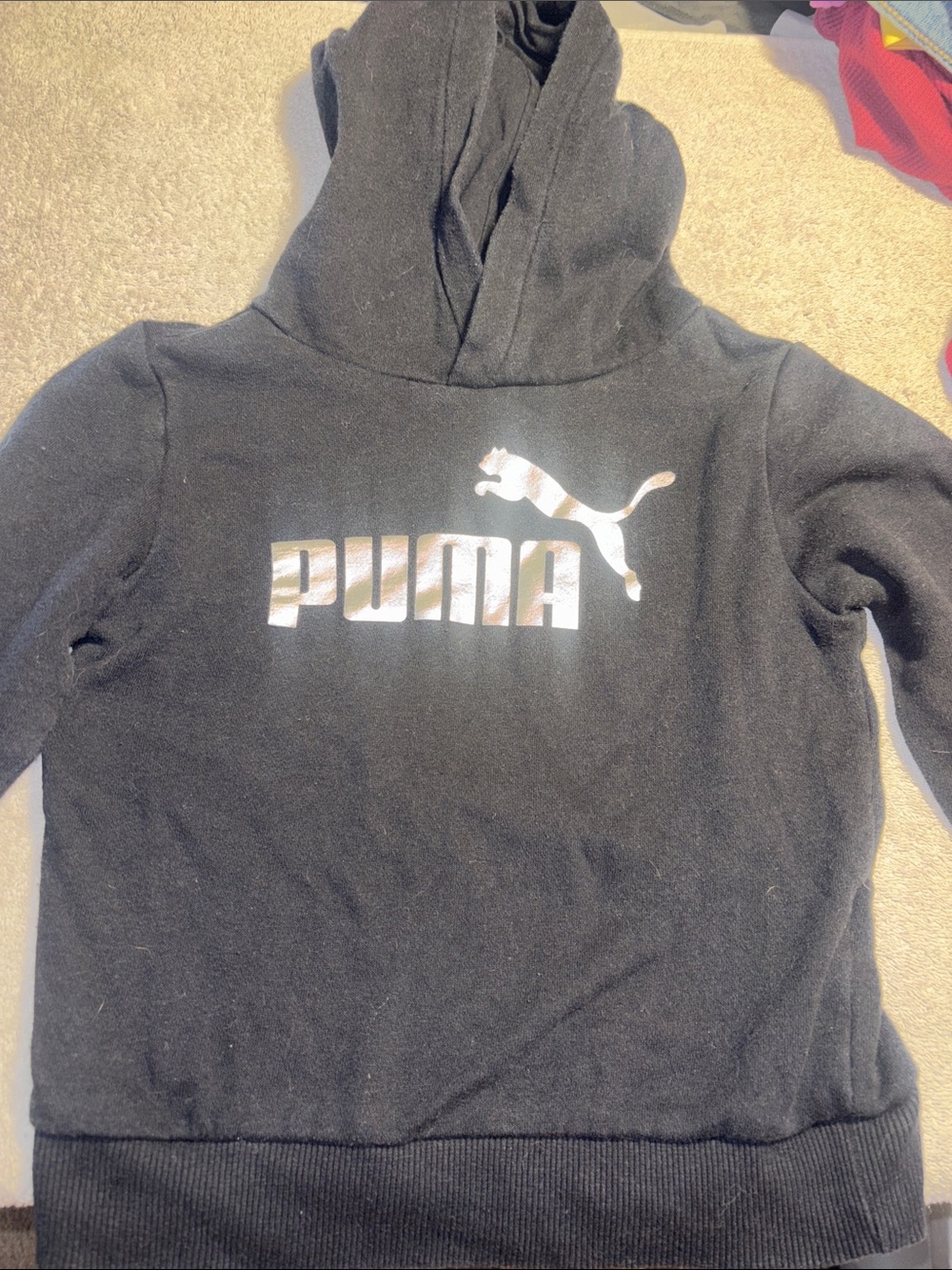 Puma Black Kids' Hooded Sweatshirt with Metallic Logo
